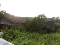  The Azores Wine Making Spot